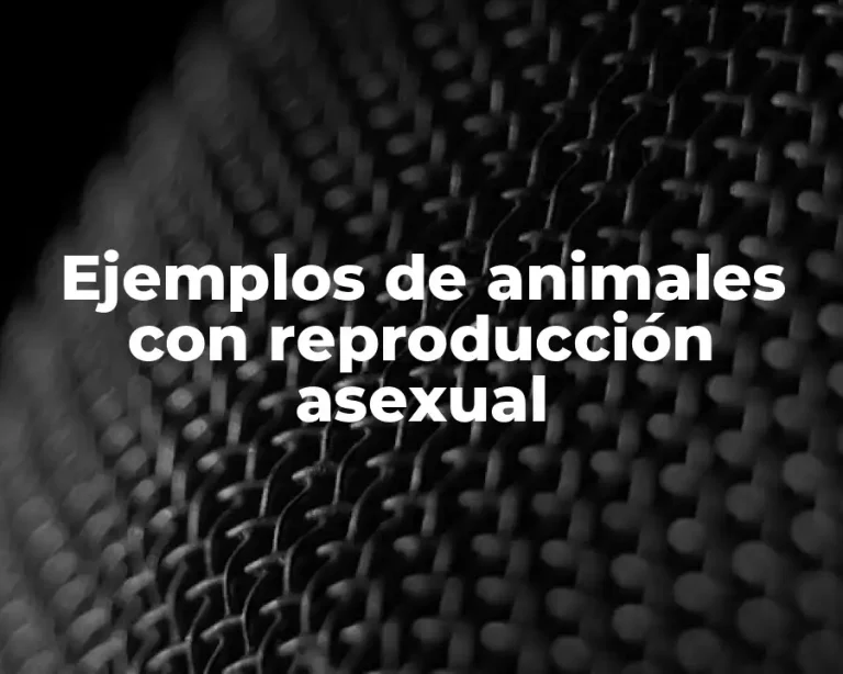 Ejemplos de animales con reproducción asexual