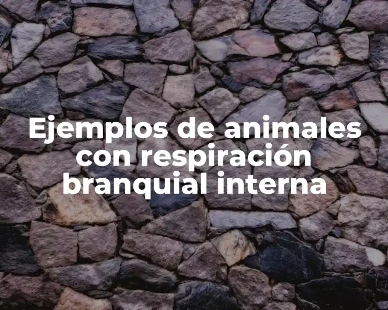 Ejemplos de animales con respiración branquial interna