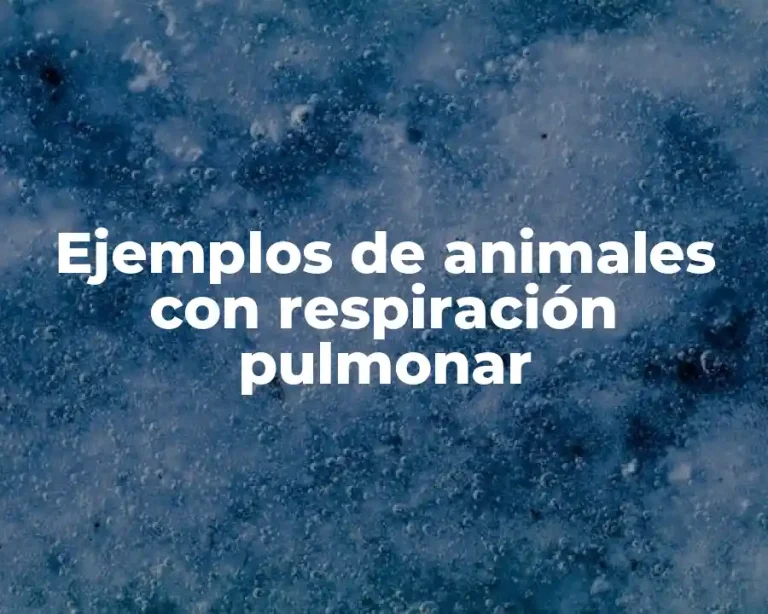 Ejemplos de animales con respiración pulmonar