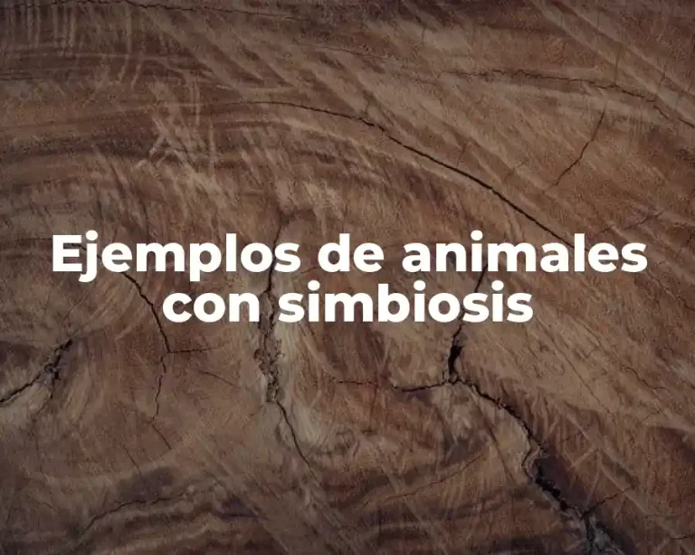 Ejemplos de animales con simbiosis