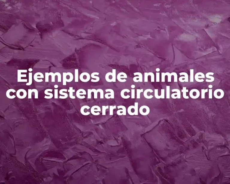 Ejemplos de animales con sistema circulatorio cerrado