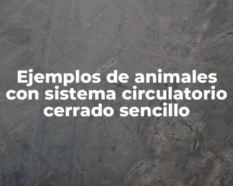 Ejemplos de animales con sistema circulatorio cerrado sencillo