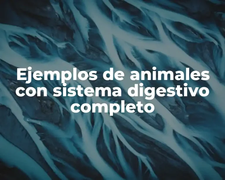 Ejemplos de animales con sistema digestivo completo
