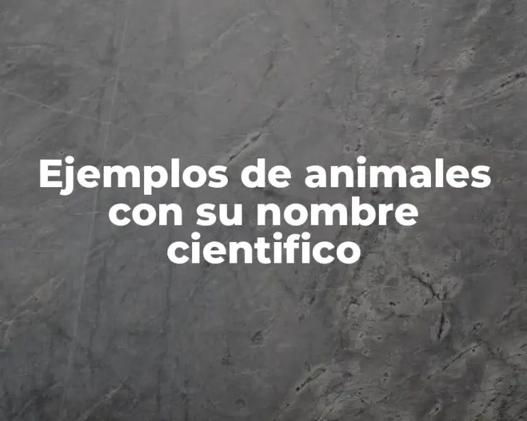 Ejemplos de animales con su nombre cientifico