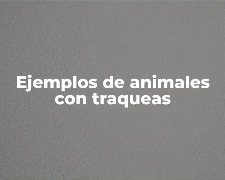 Ejemplos de animales con traqueas