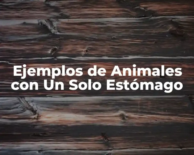 Ejemplos de Animales con Un Solo Estómago