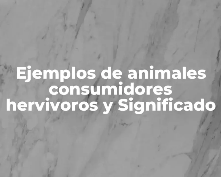 Ejemplos de animales consumidores hervivoros y Significado