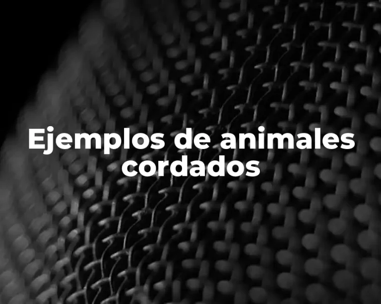 Ejemplos de animales cordados