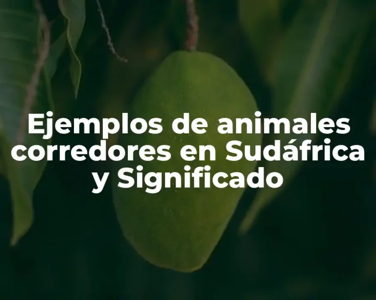 Ejemplos de animales corredores en Sudáfrica y Significado