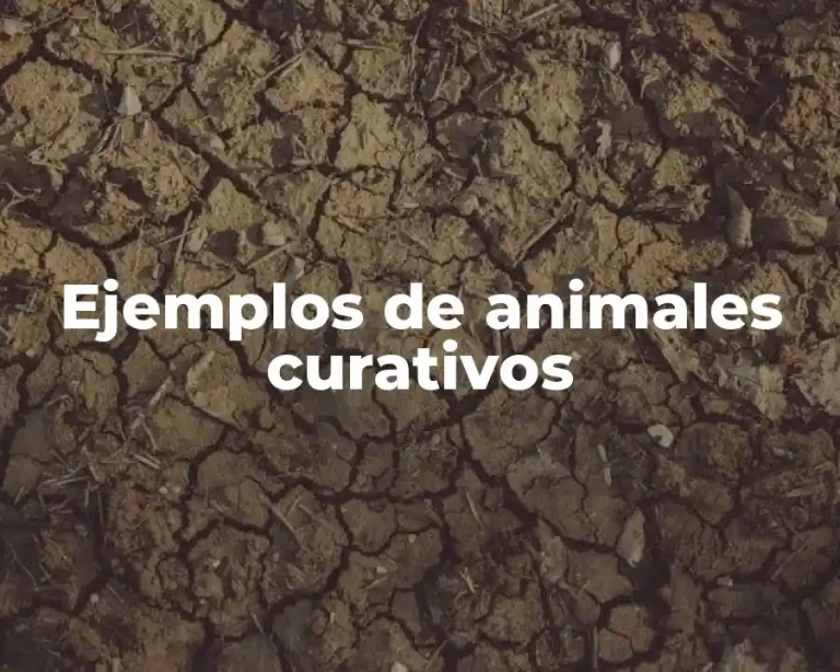 Ejemplos de animales curativos