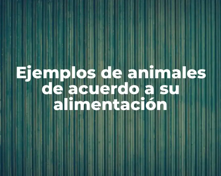 Ejemplos de animales de acuerdo a su alimentación
