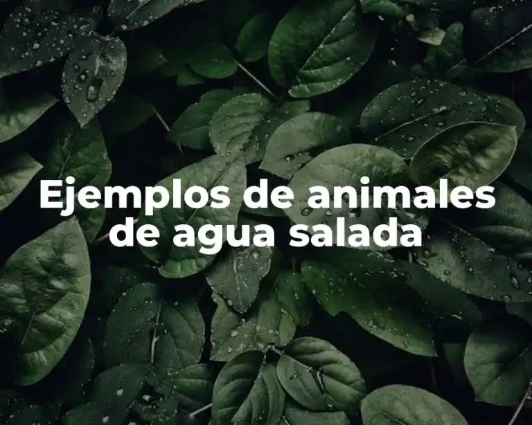 Ejemplos de animales de agua salada