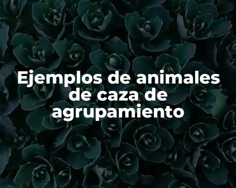 Ejemplos de animales de caza de agrupamiento