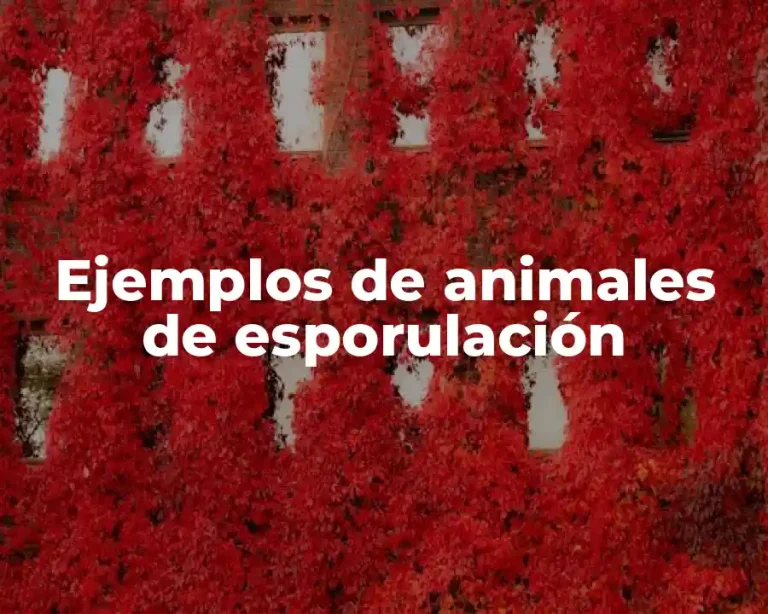 Ejemplos de animales de esporulación