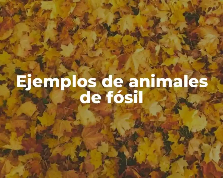 Ejemplos de animales de fósil