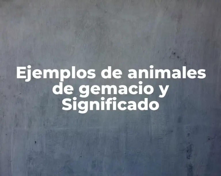 Ejemplos de animales de gemacio y Significado