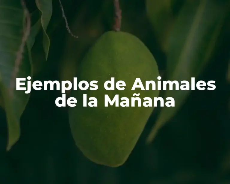 Ejemplos de Animales de la Mañana