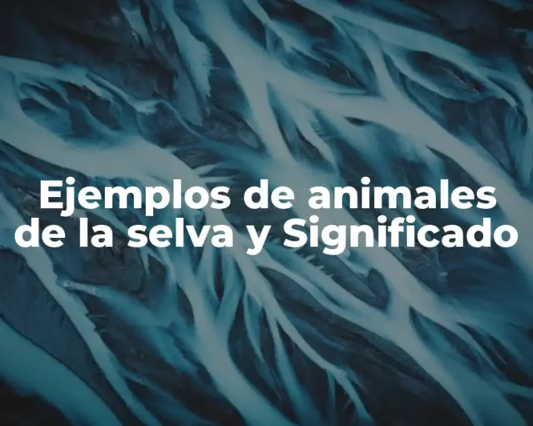 Ejemplos de animales de la selva y Significado
