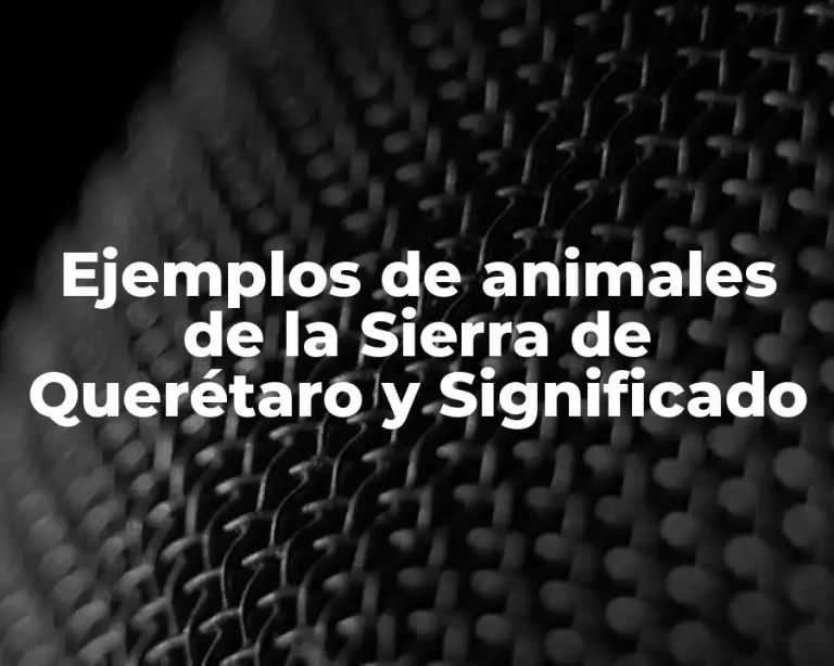 Ejemplos de animales de la Sierra de Querétaro y Significado