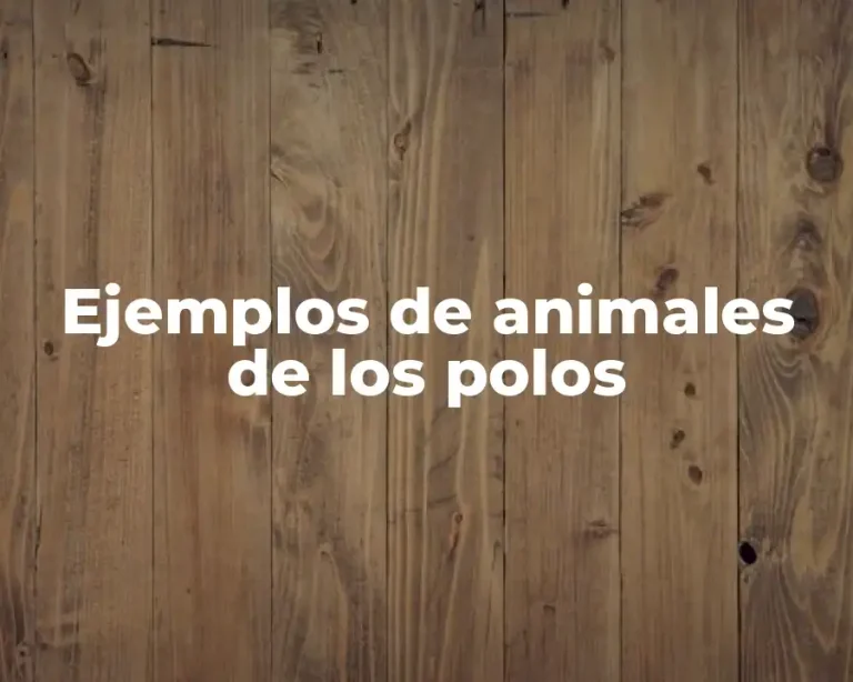 Ejemplos de animales de los polos