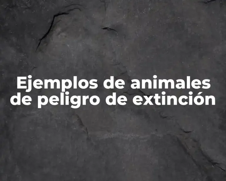Ejemplos de animales de peligro de extinción