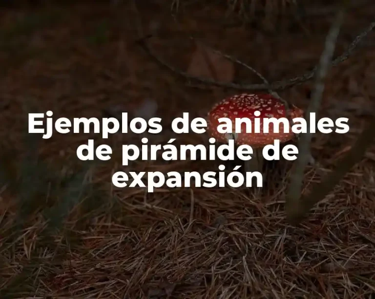 Ejemplos de animales de pirámide de expansión