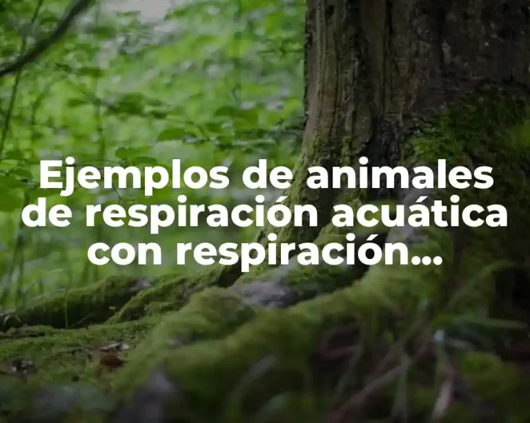 Ejemplos de animales de respiración acuática con respiración pulmonar