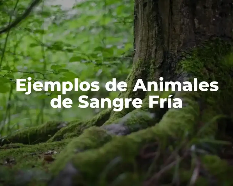 Ejemplos de Animales de Sangre Fría