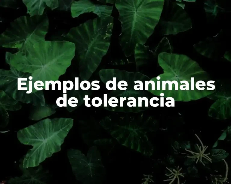 Ejemplos de animales de tolerancia