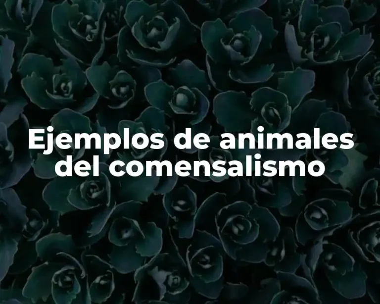 Ejemplos de animales del comensalismo
