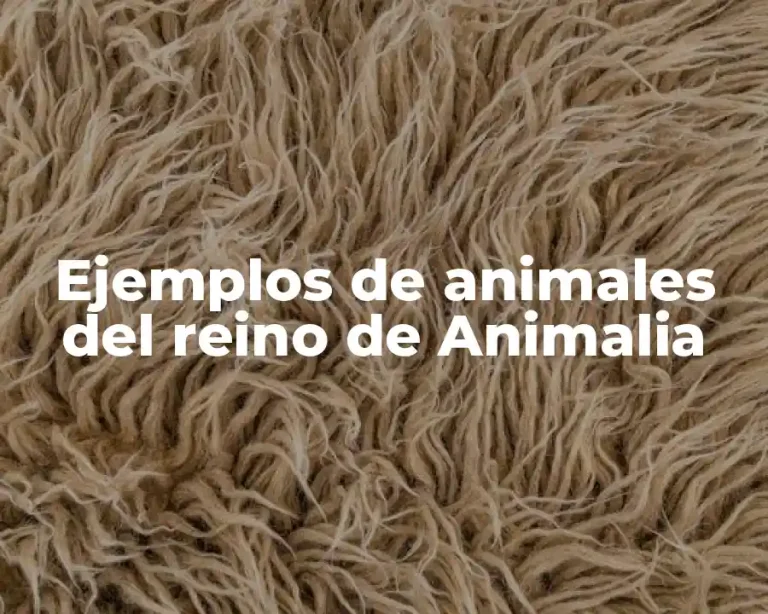 Ejemplos de animales del reino de Animalia