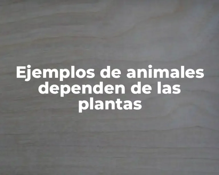 Ejemplos de animales dependen de las plantas