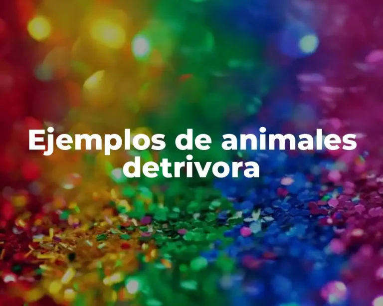 Ejemplos de animales detrivora