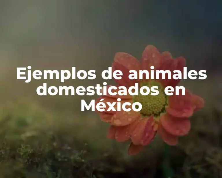 Ejemplos de animales domesticados en México
