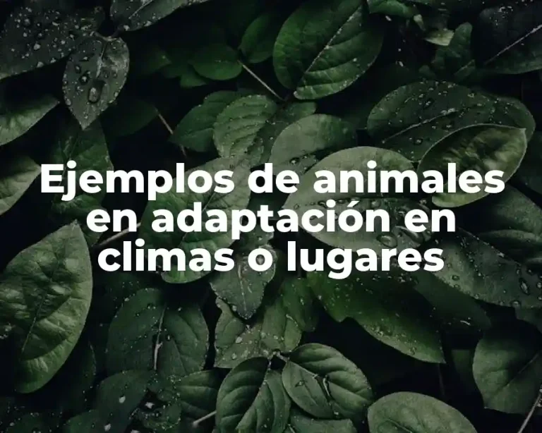 Ejemplos de animales en adaptación en climas o lugares