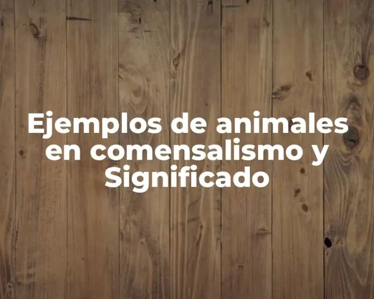 Ejemplos de animales en comensalismo y Significado