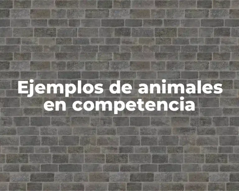 Ejemplos de animales en competencia