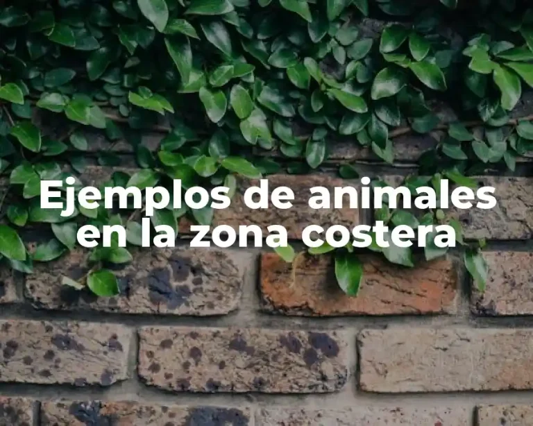 Ejemplos de animales en la zona costera