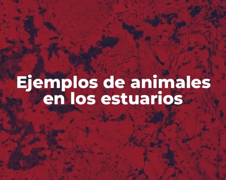 Ejemplos de animales en los estuarios