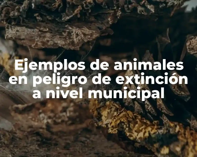 Ejemplos de animales en peligro de extinción a nivel municipal