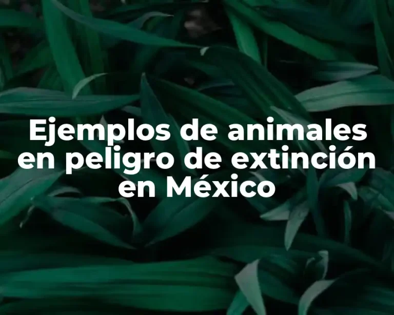 Ejemplos de animales en peligro de extinción en México