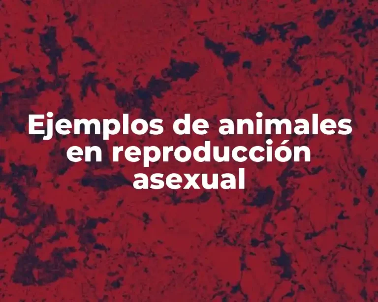 Ejemplos de animales en reproducción asexual
