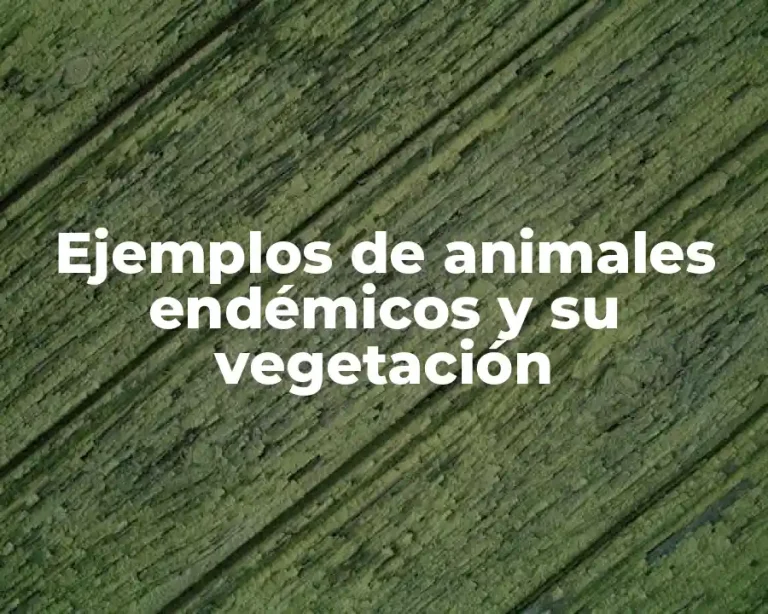 Ejemplos de animales endémicos y su vegetación