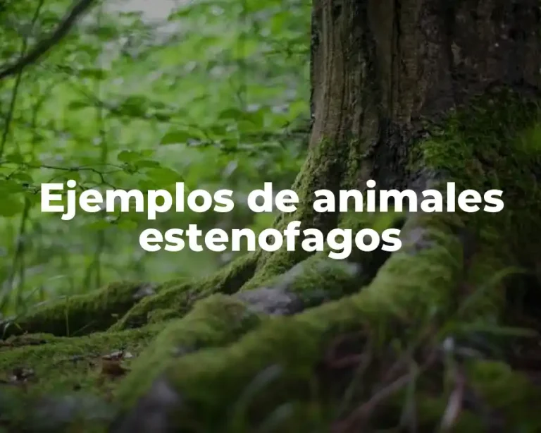 Ejemplos de animales estenofagos