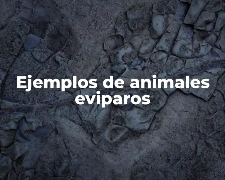 Ejemplos de animales eviparos