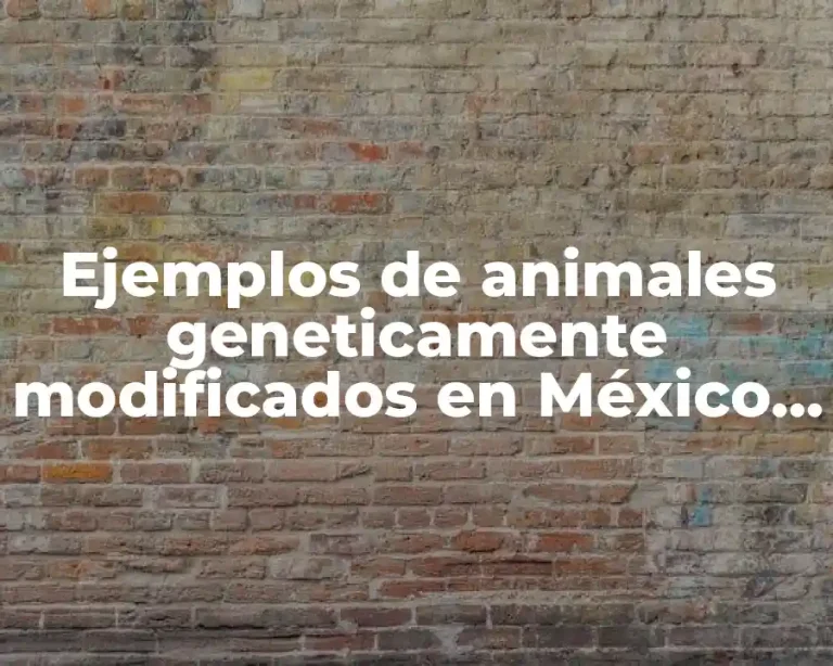 Ejemplos de animales geneticamente modificados en México y Significado