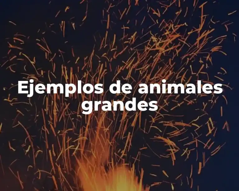 Ejemplos de animales grandes