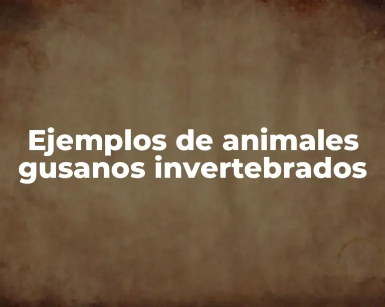 Ejemplos de animales gusanos invertebrados