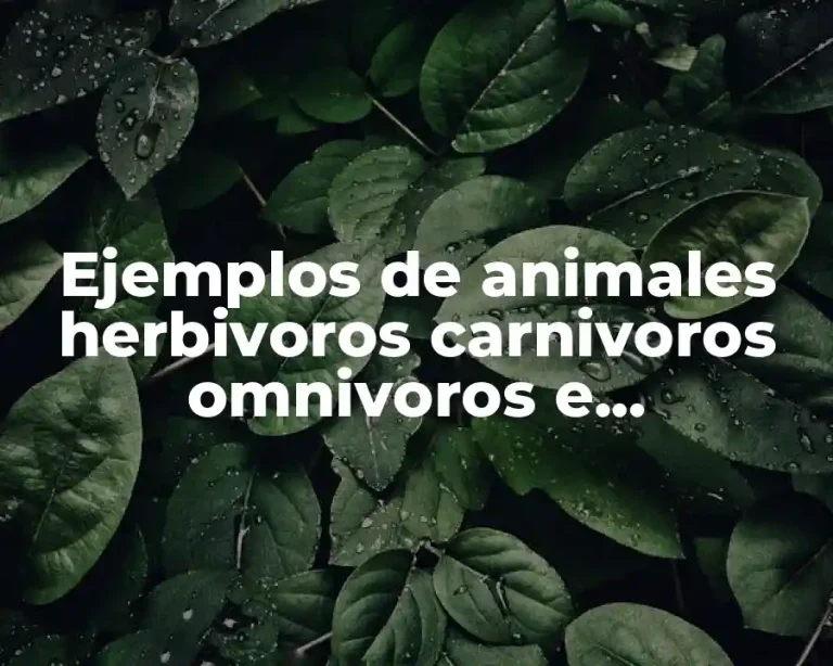 Ejemplos de animales herbivoros carnivoros omnivoros e insectivoros