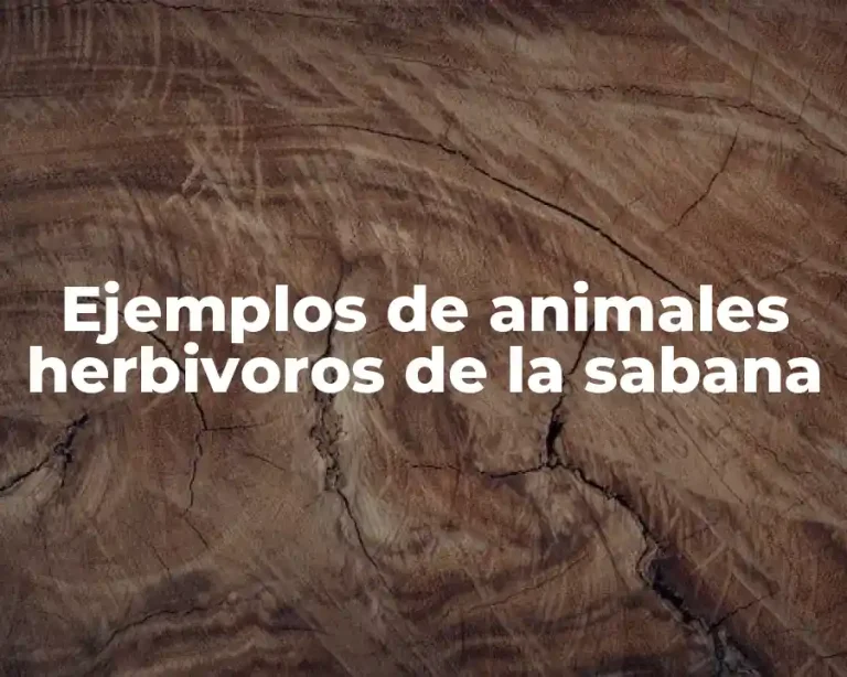 Ejemplos de animales herbivoros de la sabana